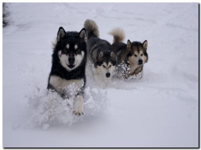 080 Februar 2010 207.jpg